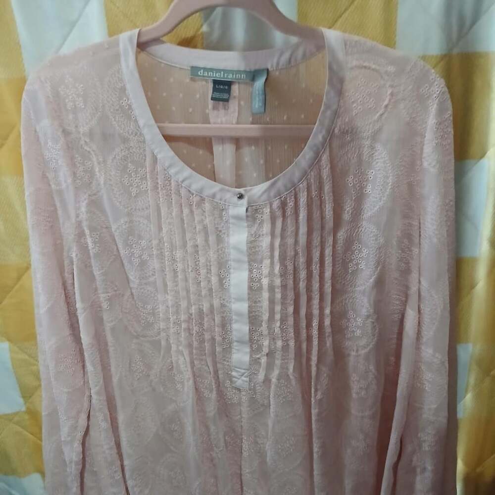 Daniel Rainn Sheer Long Sleeve Blouse